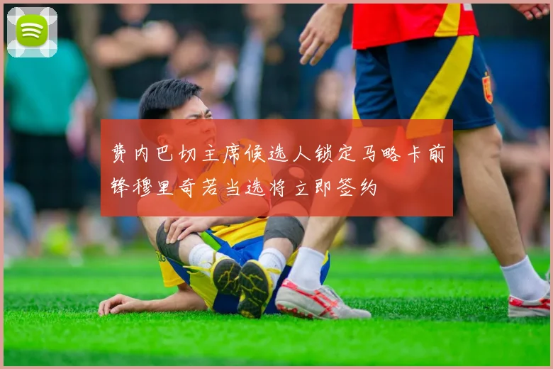 费内巴切主席候选人锁定马略卡前锋穆里奇若当选将立即签约